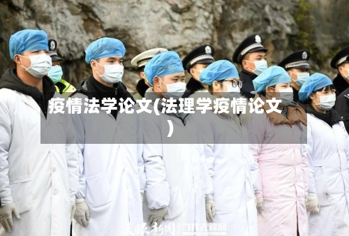 疫情法学论文(法理学疫情论文)-第2张图片