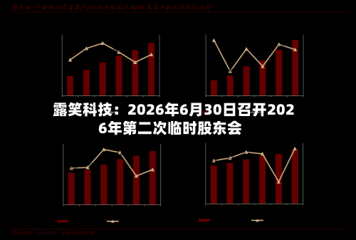露笑科技：2026年6月30日召开2026年第二次临时股东会-第3张图片