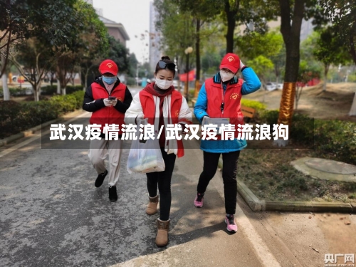 武汉疫情流浪/武汉疫情流浪狗