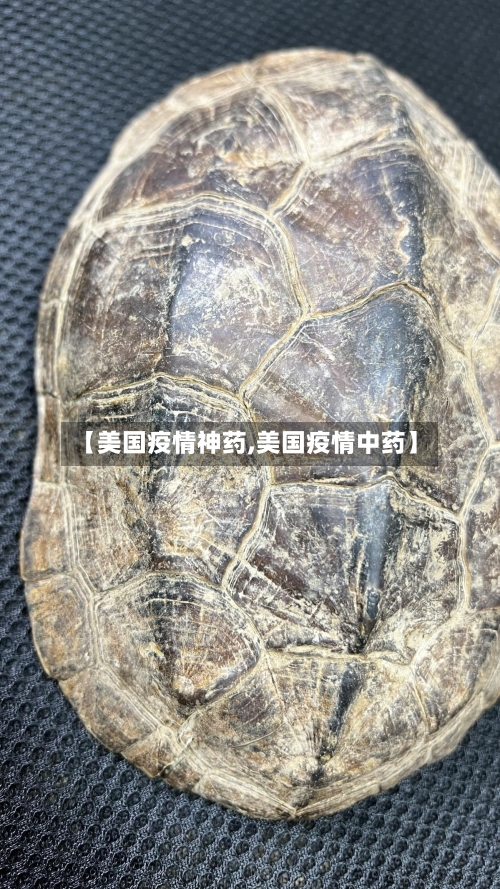 【美国疫情神药,美国疫情中药】-第2张图片