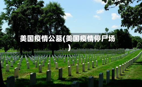 美国疫情公墓(美国疫情停尸场)-第3张图片