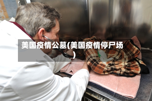 美国疫情公墓(美国疫情停尸场)