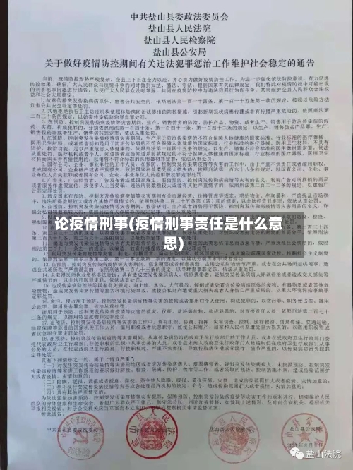 论疫情刑事(疫情刑事责任是什么意思)-第2张图片