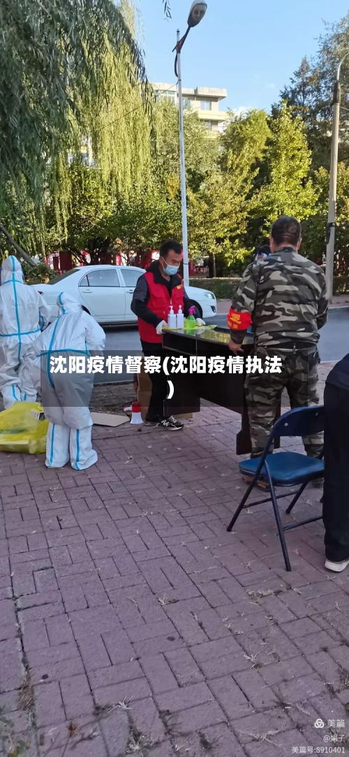 沈阳疫情督察(沈阳疫情执法)