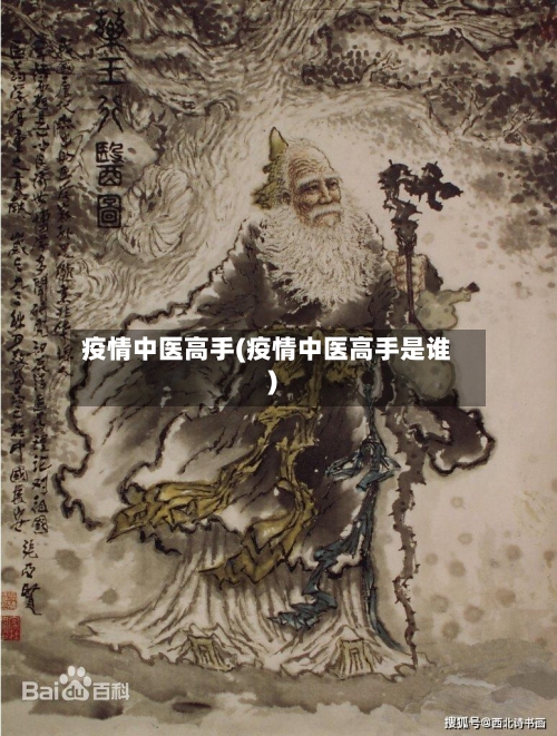 疫情中医高手(疫情中医高手是谁)-第2张图片