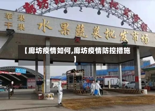 【廊坊疫情如何,廊坊疫情防控措施】-第3张图片