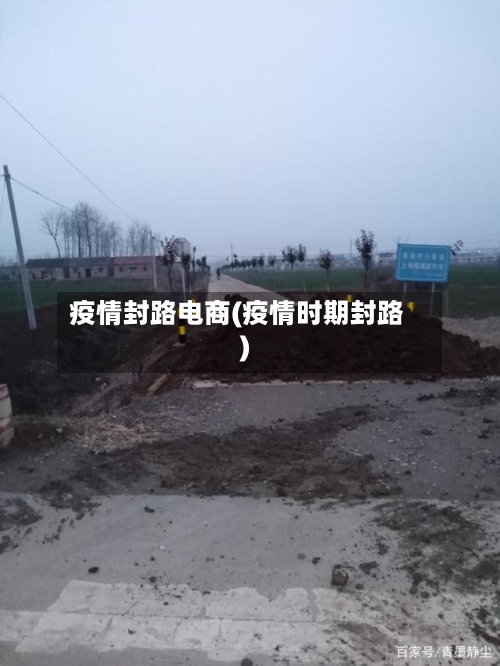 疫情封路电商(疫情时期封路)-第3张图片