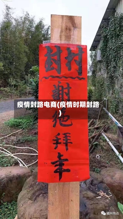 疫情封路电商(疫情时期封路)-第2张图片
