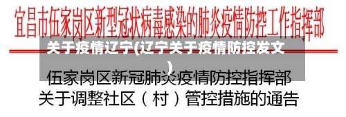 关于疫情辽宁(辽宁关于疫情防控发文)-第2张图片