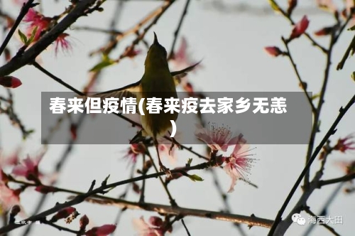春来但疫情(春来疫去家乡无恙)
