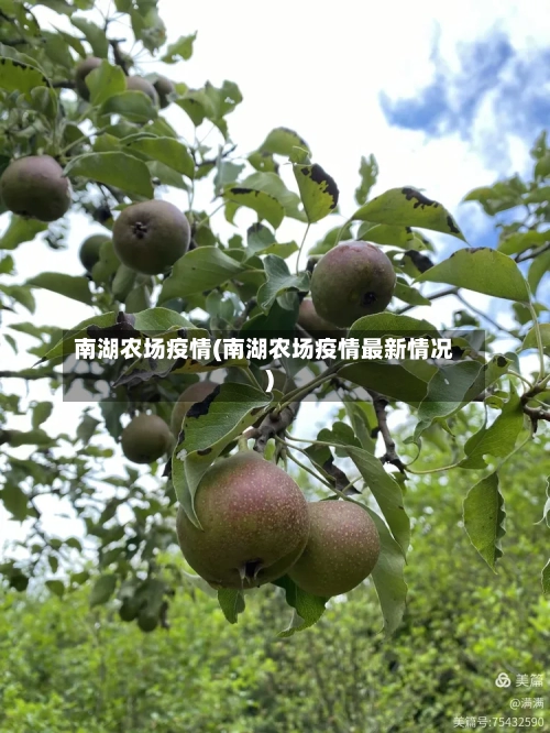 南湖农场疫情(南湖农场疫情最新情况)