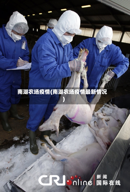南湖农场疫情(南湖农场疫情最新情况)-第2张图片