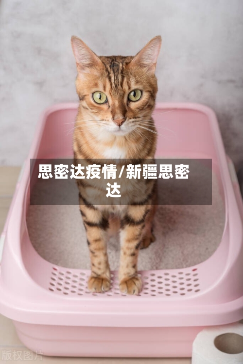 思密达疫情/新疆思密达-第2张图片