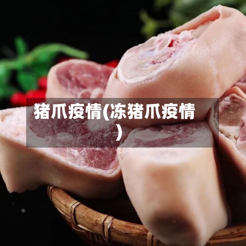 猪爪疫情(冻猪爪疫情)-第2张图片