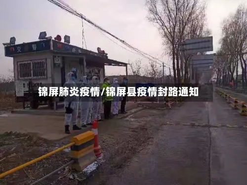 锦屏肺炎疫情/锦屏县疫情封路通知-第2张图片