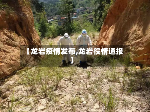 【龙岩疫情发布,龙岩役情通报】-第3张图片
