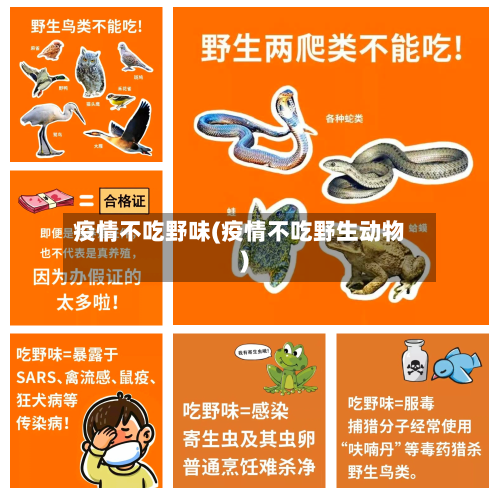 疫情不吃野味(疫情不吃野生动物)-第2张图片