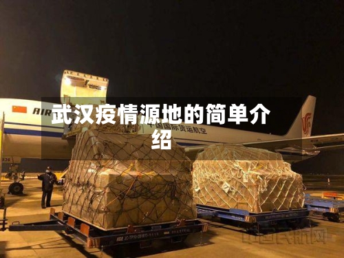 武汉疫情源地的简单介绍