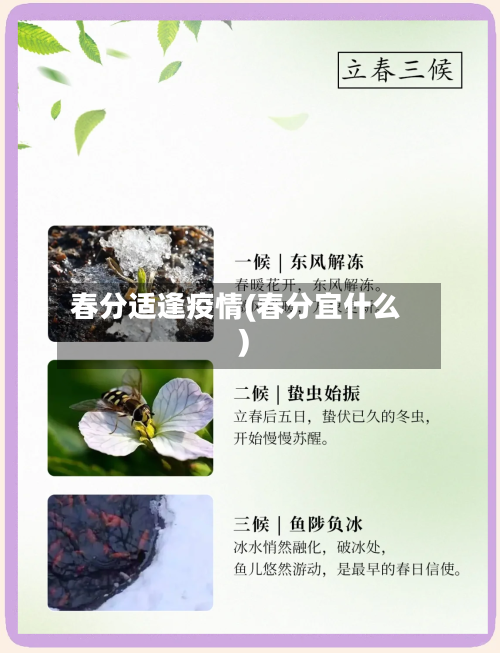 春分适逢疫情(春分宜什么)