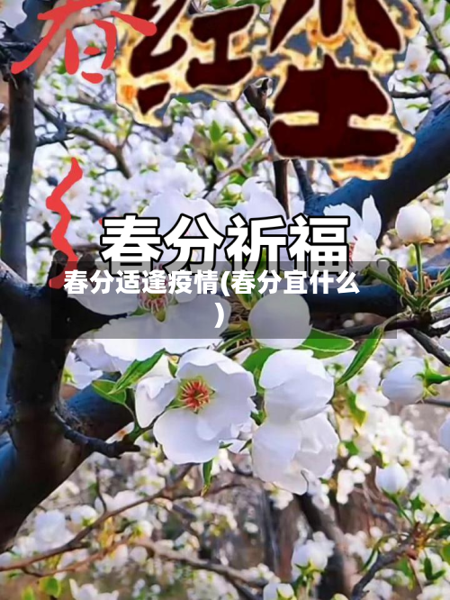 春分适逢疫情(春分宜什么)-第3张图片