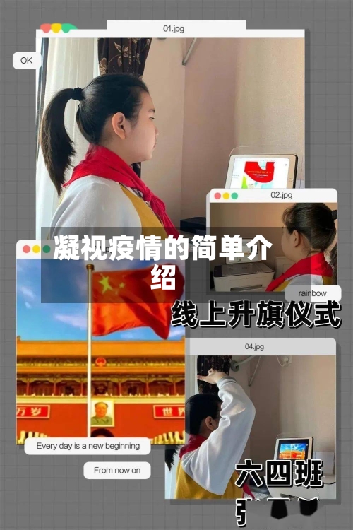 凝视疫情的简单介绍