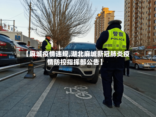 【麻城疫情违规,湖北麻城新冠肺炎疫情防控指挥部公告】