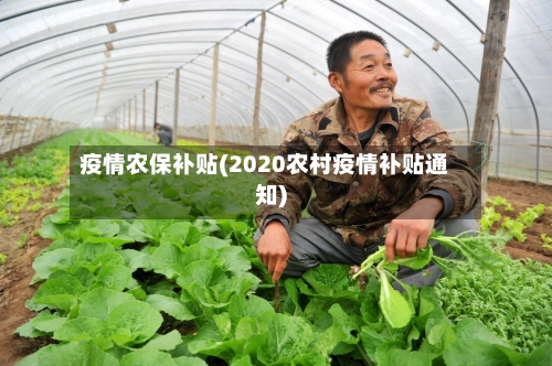疫情农保补贴(2020农村疫情补贴通知)-第2张图片