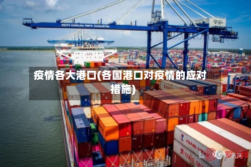 疫情各大港口(各国港口对疫情的应对措施)-第2张图片