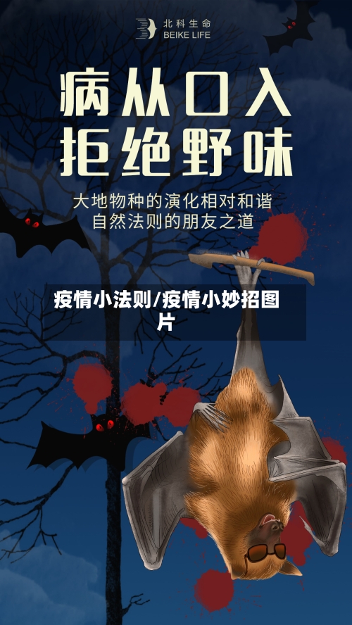 疫情小法则/疫情小妙招图片