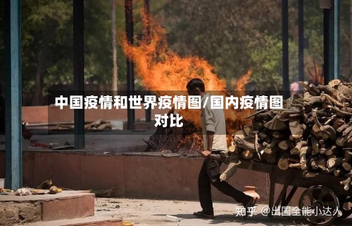 中国疫情和世界疫情图/国内疫情图对比