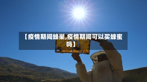 【疫情期间蜂巢,疫情期间可以买蜂蜜吗】-第2张图片