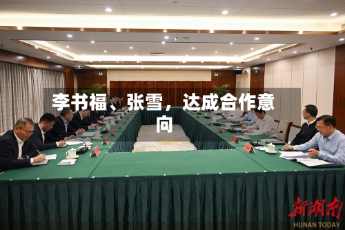 李书福、张雪，达成合作意向-第2张图片