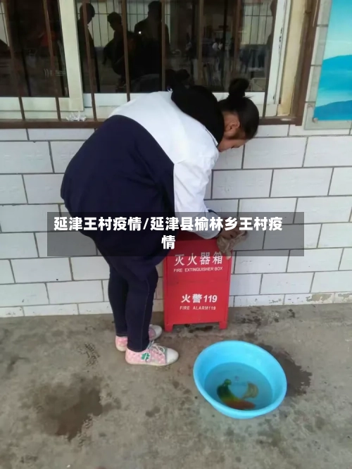 延津王村疫情/延津县榆林乡王村疫情-第3张图片