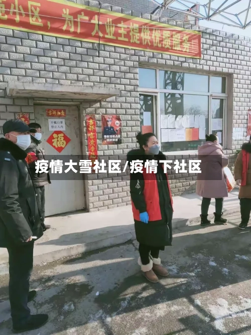疫情大雪社区/疫情下社区-第2张图片
