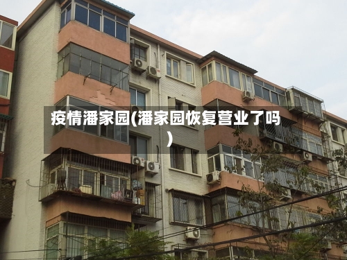 疫情潘家园(潘家园恢复营业了吗)