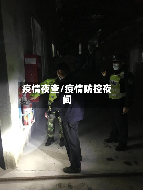 疫情夜查/疫情防控夜间-第2张图片