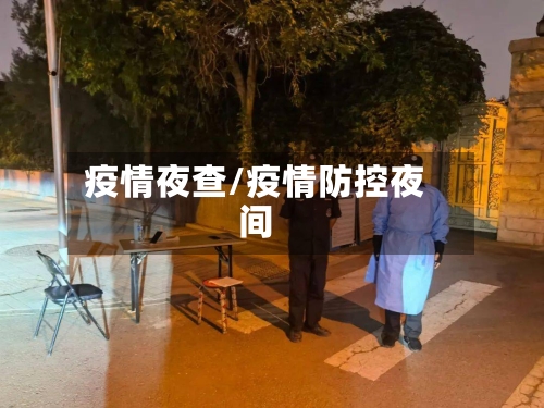疫情夜查/疫情防控夜间