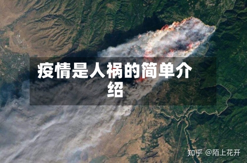 疫情是人祸的简单介绍-第2张图片