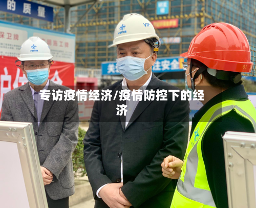 专访疫情经济/疫情防控下的经济