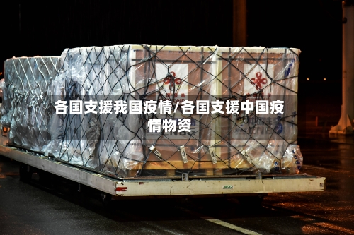 各国支援我国疫情/各国支援中国疫情物资-第3张图片
