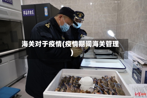 海关对于疫情(疫情期间海关管理)-第2张图片