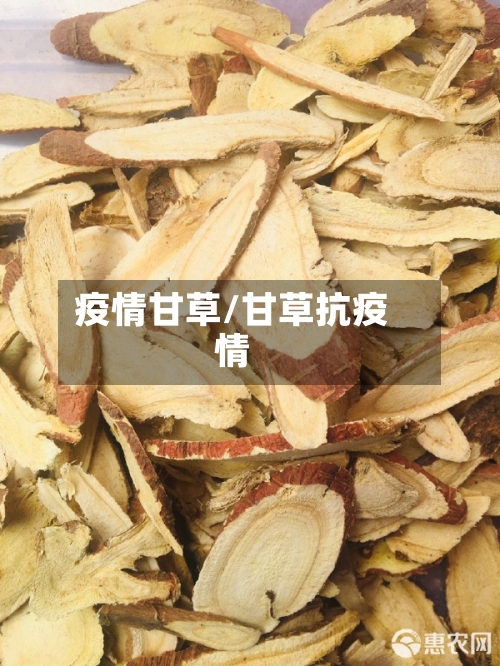 疫情甘草/甘草抗疫情-第2张图片
