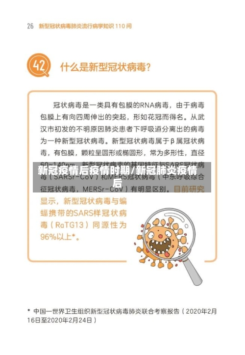 新冠疫情后疫情时期/新冠肺炎疫情后