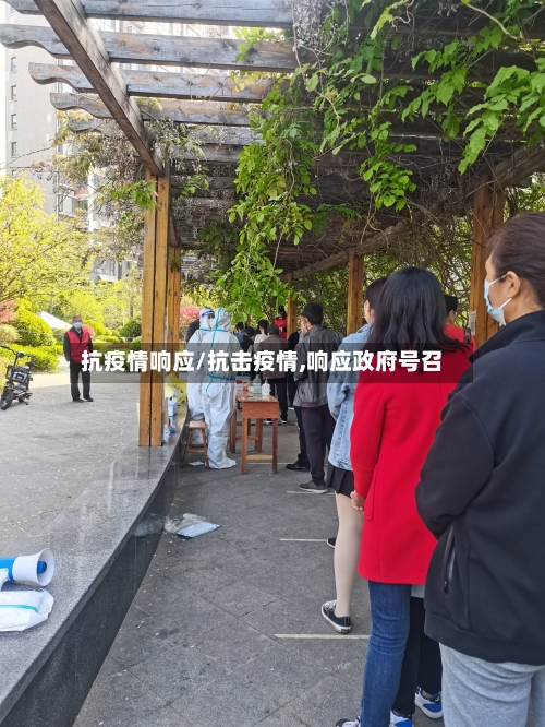 抗疫情响应/抗击疫情,响应政府号召-第2张图片