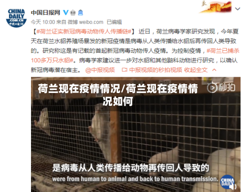 荷兰现在疫情情况/荷兰现在疫情情况如何
