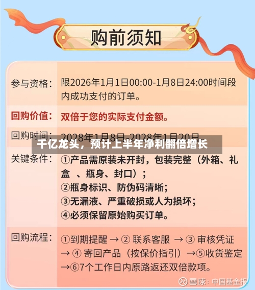 千亿龙头，预计上半年净利翻倍增长-第3张图片