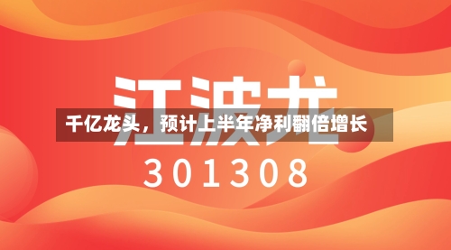 千亿龙头，预计上半年净利翻倍增长-第2张图片