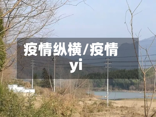疫情纵横/疫情yi