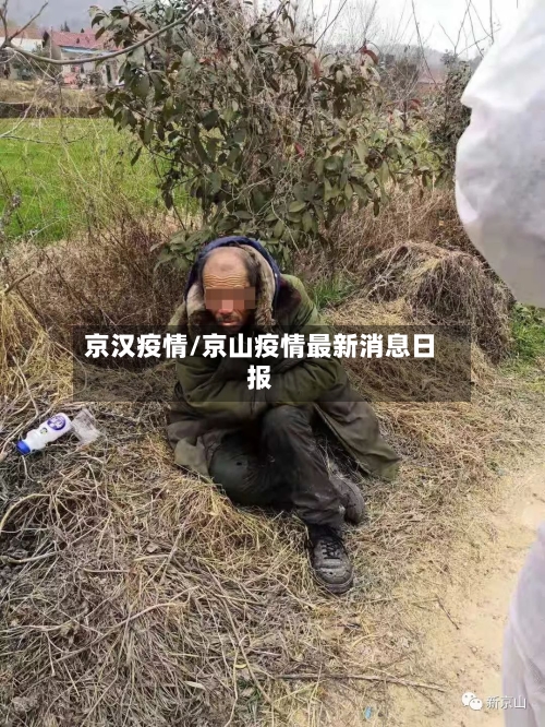 京汉疫情/京山疫情最新消息日报