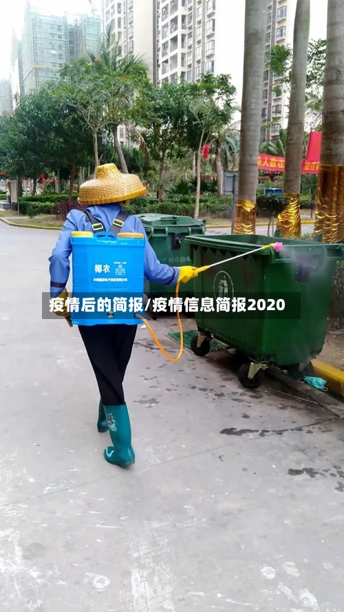 疫情后的简报/疫情信息简报2020